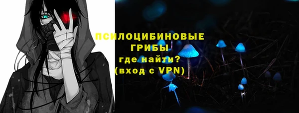 ешки Иннополис