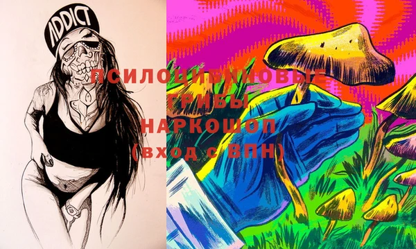ешки Иннополис
