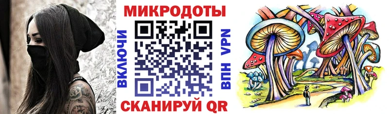Псилоцибиновые грибы GOLDEN TEACHER  магазин продажи наркотиков  Канск 