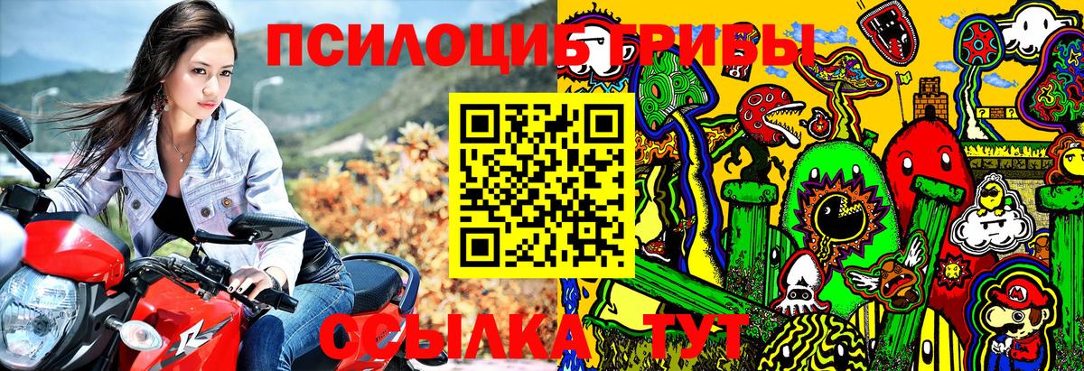 Галлюциногенные грибы мицелий Канск