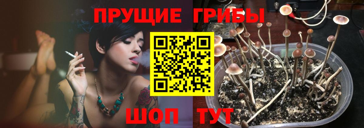 Псилоцибиновые грибы Psilocybine cubensis  Галлюциногенные грибы Psilocybe  Канск  Вход с VPN 