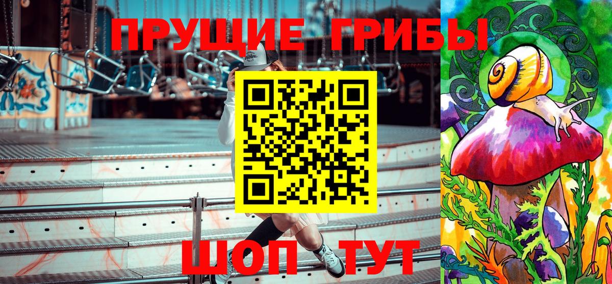 Псилоцибиновые грибы Psilocybe Канск
